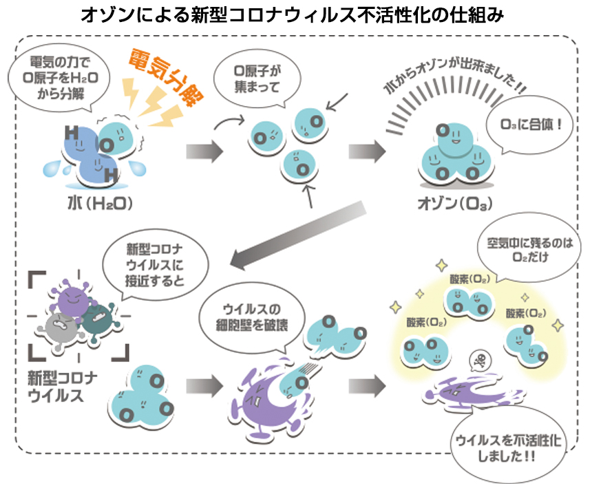 オゾンによる新型コロナウイルス不活性化の仕組み